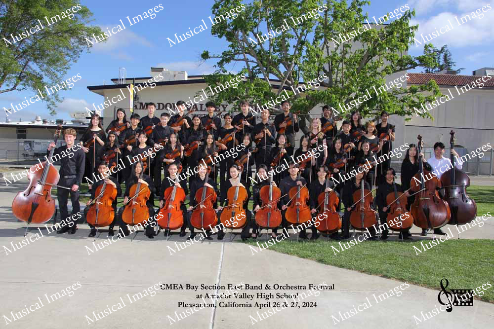 Musical Images